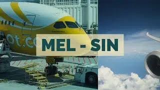 Melbourne to Singapore with Scoot in ScootBiz | $360 business class seat | flight report
