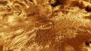 Hair_Advection