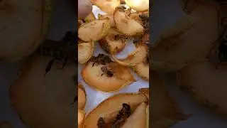 Пчёлы 🐝🐝🐝🐝 🐝 на сухофруктах , на груше 🍐🍐🍐 #пчёлы #сухофрукты