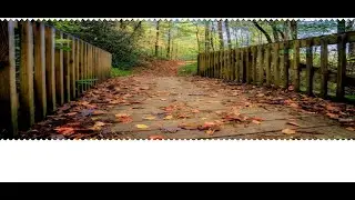 Zig-Zag Border using HTML and CSS