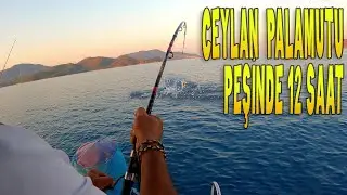 Fethiye de Ceylan Palamutu Peşinde | Heyecan Dolu Balık Avı!