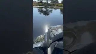 В брод)Лексус GX-470