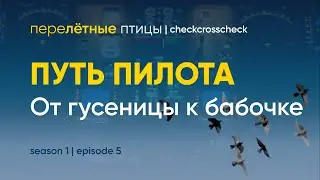 From Caterpillar to Butterfly | How Does an Airplane Pilot Get Wings? | Migratory Birds @checkcro...