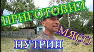 РАБОТА КИПИТ,ПРИГОТОВИЛ МЯСО НУТРИИ