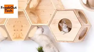 5 Incredible Inventions For Your Cat