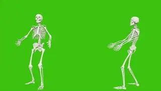 Free footage. Skeleton talking. Seamless loop animation on green screen.