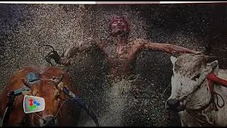 World Press Photo exhibition opens its door