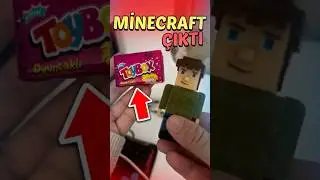 A MINECRAFT TOY FOUND IN A TOYBOX? 