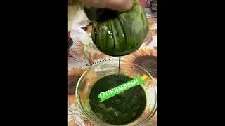 Как сделать сок лопуха?