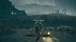 so schnell war ich noch nie. Waffen guide Bestienklaue elden Ring Shadow of the Erdtree