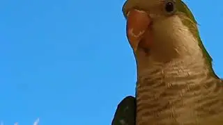 Супер -симпатяжки