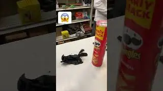 When you buy Pringles, Rubber Glove, and a sponge 