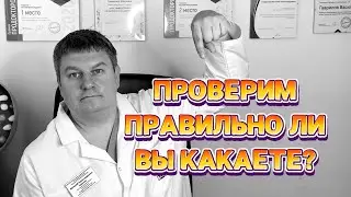 КАК КАКАТЬ? Обучает в игре врач-проктолог 