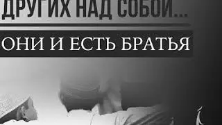 Исмаиль Абу Мухаммад-«Они и есть братья»