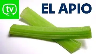 Las propiedades nutritivas del apio