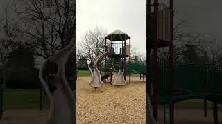 Один из парков в Sacramento 🌳
