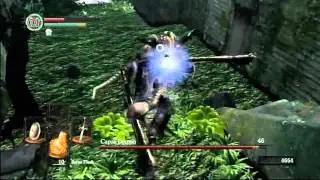 EpicNameBro's Capra's Horn Challenge: The Wanderer