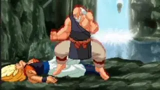 Goku's New Master