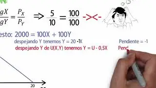 Consumer Optimum: Perfect Substitutes Solved Exercise