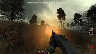 STALKER Anomaly: Just a bit of atmospheric mutant hunting gameplay!