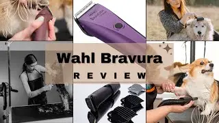 Wahl Bravura Dog Cordless Grooming Clippers Unboxing & Review