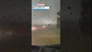 Tennessee Couple Captures Terrifying Tornado: 'Lord Please Spare Us' 