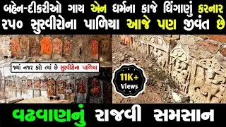 ધર્મને કાજે ધિંગાણું કરનારા 250 સુરવીરોના પાળિયા આજે પણ અહીં જીવંત છે