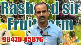 EP-10 റഷീദ് മാഷും പിന്നെ പഴ തോട്ടവും