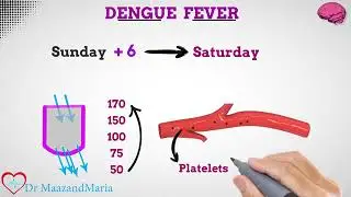 Dengue fever details in easyWay #dengue #dengueupdate #denguefever #dengueprevention #trendingshorts