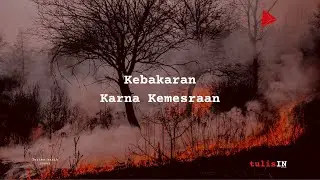 Kebakaran Hutan: Pre Wedding Jadi Ga Penting #MasalahHukum
