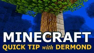 Minecraft Quick Tip: Force tall oak trees to grow every time! (all versions!)
