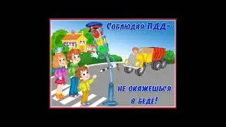 Зебра