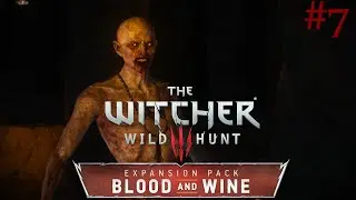 The Witcher 3: Blood and Wine #7 The Unseen Elder Vampire