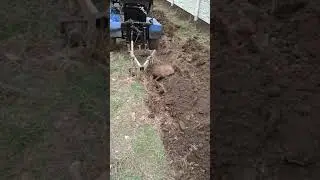 Пахота целины на минитракторе