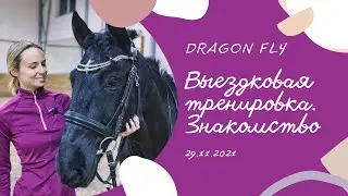 Dragon Fly. Новая лошадка. Выездковая тренировка. Знакомство