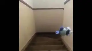 :'v