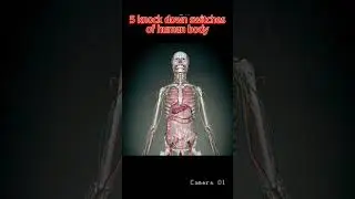 Knock down switchs of human body 👁️👁️👁️ 😱😱😱 
