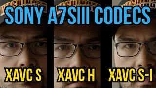 Sony a7SIII a7IV Fx30 Fx3 Codecs - XAVC S vs XAVC HS vs XAVC S-I 