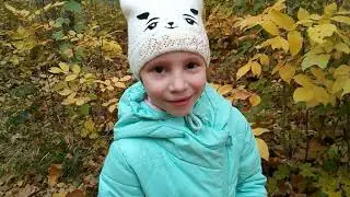 как провести выходные/осенняя прогулка на природе 