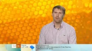 Как отличить настоящий мед от подделки?
