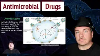 Survey of Major Antimicrobial Drug Groups
