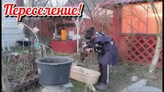 Переселение на родное место. Забег по магазинам. Готовка на быструю руку. Жизнь семьи в деревне.