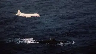 Cold Waters 