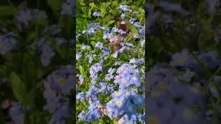 VID 20200530 163847