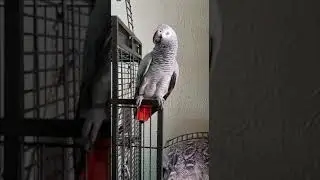 ладушки . все классно! уряяя!