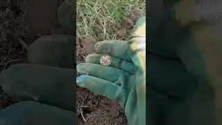 ТОЛЬКО ПРИЕХАЛ НА КОП И СРАЗУ МОНЕТЫ 