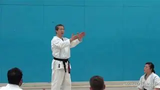 Kagawa Explaining Bassai Dai