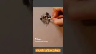 Ad | win a free pet portrait, link in my bio 👀