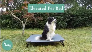 Actiaspet Black and Grey Elevated Bed 23247 and 67019