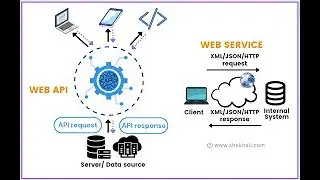 Coding and Programming Crash Course: API Integration and Web Services 